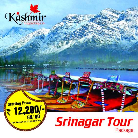 srinagar-kashmir-tour-packages-with-kashmirtrippackage-in_s8q8iau_3.jpeg